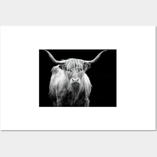 Highland Cow - Monochrome Posters and Art